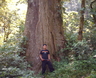 Jaime - big tree_1_7_1